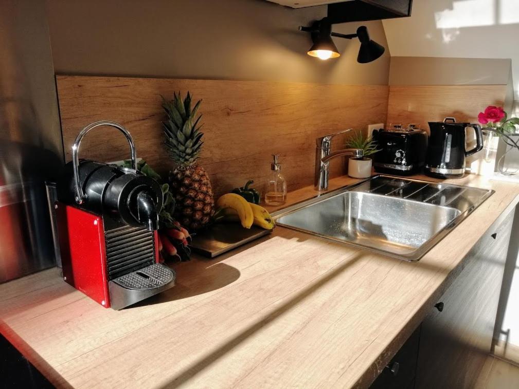 Le Petit Mérinos - - Appartement